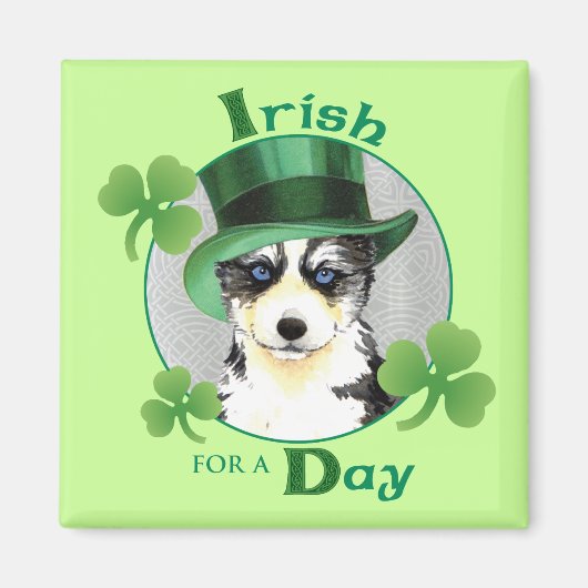 Aimant St. Patrick's Day Husky (Devant)