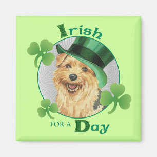 Aimant St. Patrick's Day Norfolk Terrier