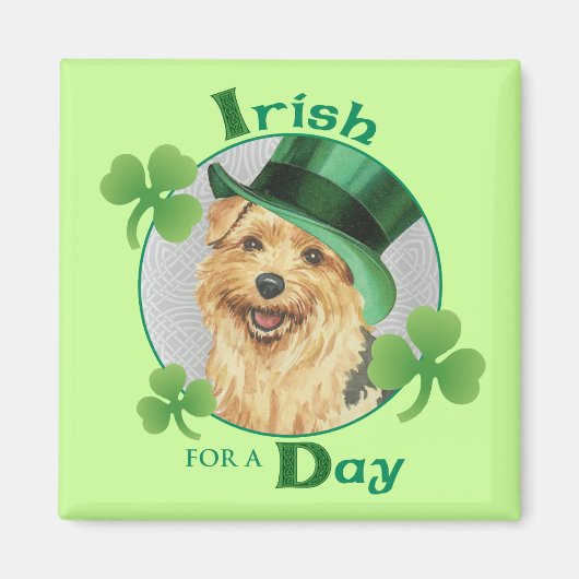 Aimant St. Patrick's Day Norfolk Terrier (Devant)