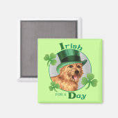 Aimant St. Patrick's Day Norwich Terrier (Recto/Verso)