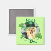 Aimant St. Patrick's Day Yorkie (Recto/Verso)