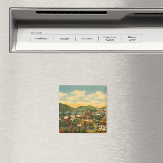 Aimant St Thomas (In Situ (Lave-vaisselle))