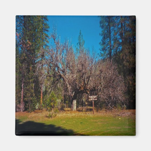 Aimant Stafford Crossing...... (Devant)