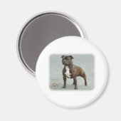 Aimant Staffordshire Bull Terrier (Recto/Verso)