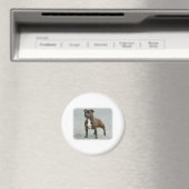 Aimant Staffordshire Bull Terrier (In Situ (Lave-vaisselle))