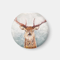Stag écossais dans l'aimant de la neige