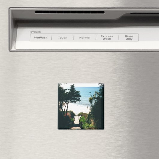 Aimant Stairs de Mesa (In Situ (Lave-vaisselle))