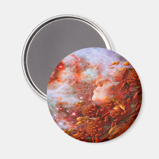 Aimant Star Dream (Recto/Verso)