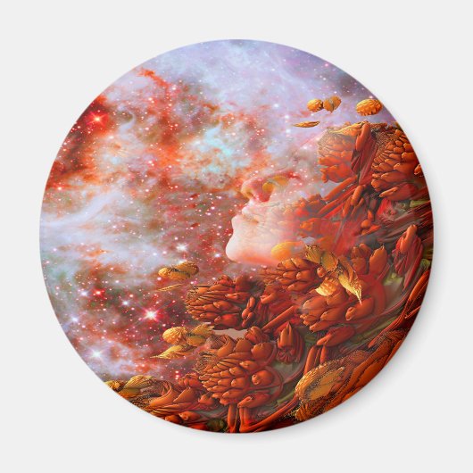 Aimant Star Dream (Devant)