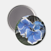 Aimant Starburst Hydrangea (bleu et blanc) (Recto/Verso)