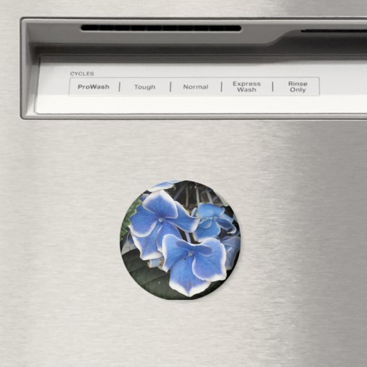 Aimant Starburst Hydrangea (bleu et blanc) (In Situ (Lave-vaisselle))