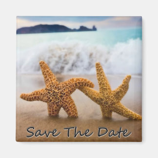 Aimant Starfish Enregistrer l'aimant Date
