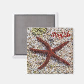 Aimant Starfish Ocean Plage Vintage Souvenir rétro (Recto/Verso)