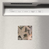Aimant Starfish partout (In Situ (Lave-vaisselle))