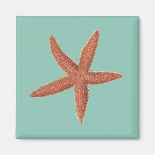 Aimant Starfish - Sherman Denton Fish Lithograph (Devant)