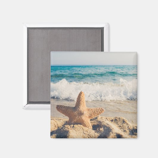 Aimant Starfish sur une plage de sable Photo (Recto/Verso)