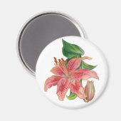 Aimant Stargazer Lily (Recto/Verso)