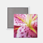 Aimant Stargazer Lily brillant Magenta Floral (Recto/Verso)
