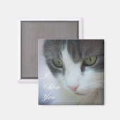 Aimant Staring de chat noir et blanc (Recto/Verso)