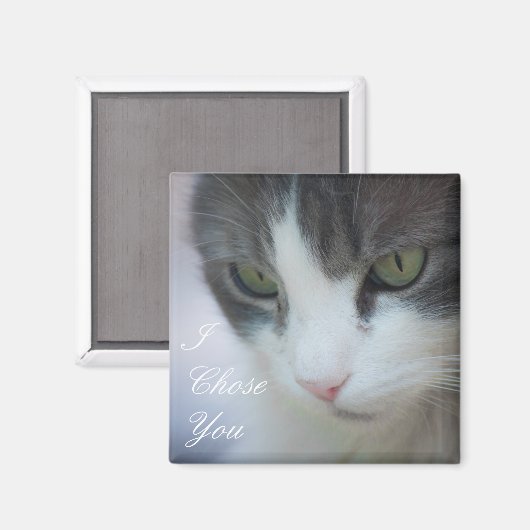 Aimant Staring de chat noir et blanc (Recto/Verso)