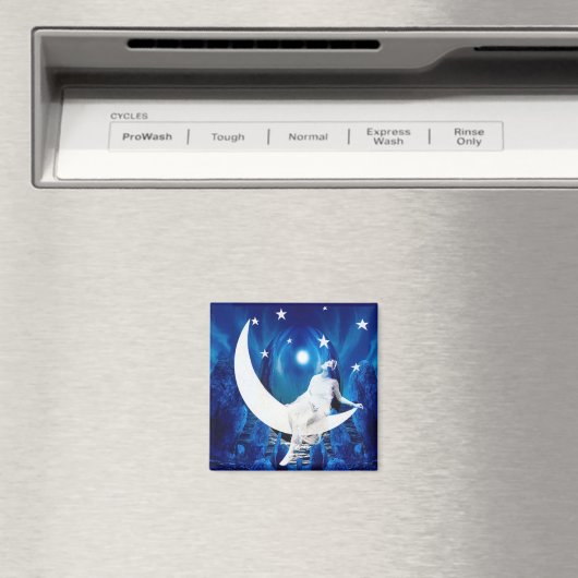 Aimant Starlight (In Situ (Lave-vaisselle))