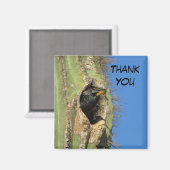 Aimant Starling dans Saguaro Cactus Photo Southwest Bird (Recto/Verso)