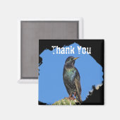 Aimant Starling Saguaro Cactus Beau Oiseau du Sud-Ouest (Recto/Verso)