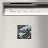 Aimant Starry Magnolia (In Situ (Lave-vaisselle))