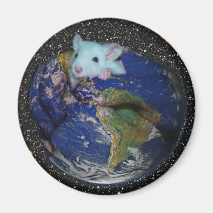 Aimant : Starry World Rat