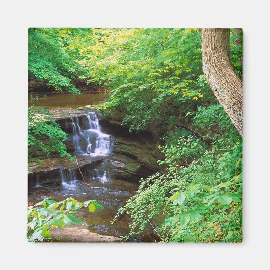 Aimant Starved Rock Park, Illinois (Devant)