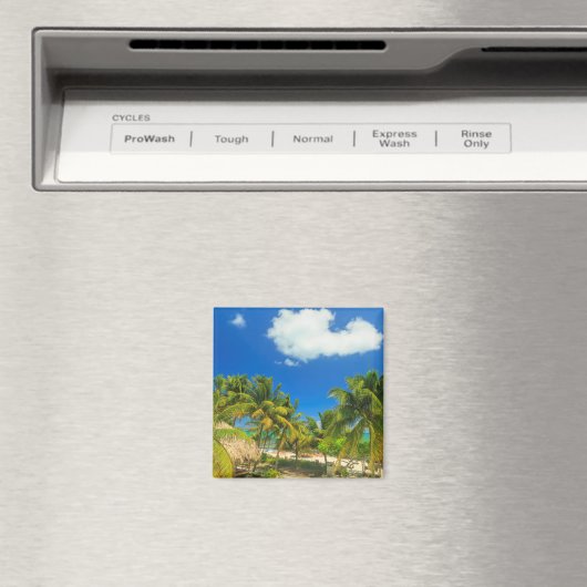 Aimant Station balnéaire tropicale, Belize (In Situ (Lave-vaisselle))