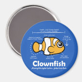 Aimant Statistiques sur les poissons clowns (Recto/Verso)