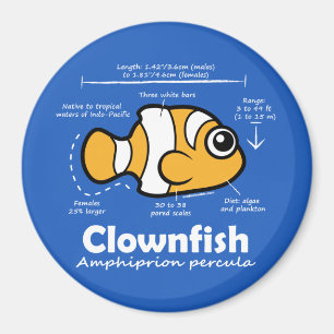 Aimant Statistiques sur les poissons clowns