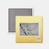 Aimant Stealth Kitty 1 (Recto/Verso)