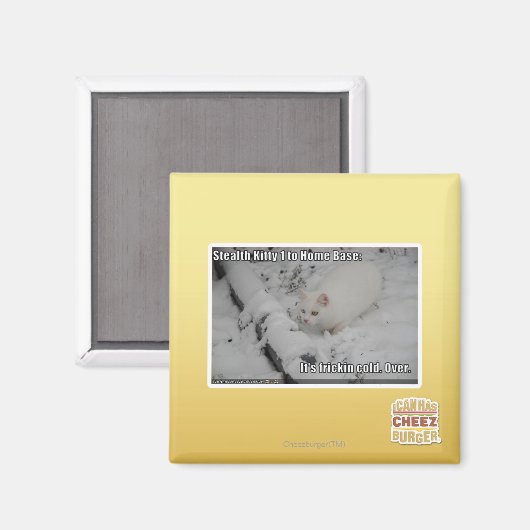 Aimant Stealth Kitty 1 (Recto/Verso)