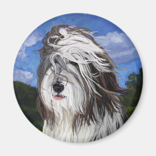 Aimant Stella le chien de berger anglais