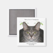 Aimant Stella Promo (Recto/Verso)