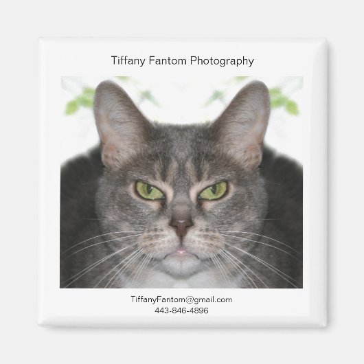 Aimant Stella Promo (Devant)