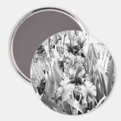 Aimant Sterling Irises.... (Recto/Verso)