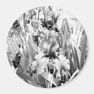 Aimant Sterling Irises....