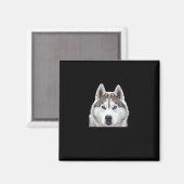 Aimant Sticker Sibérien Husky Preof That Size S (Recto/Verso)