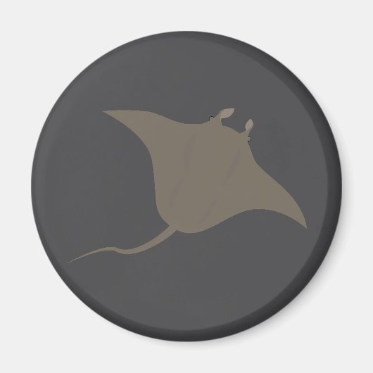 Aimant Stingray (Devant)