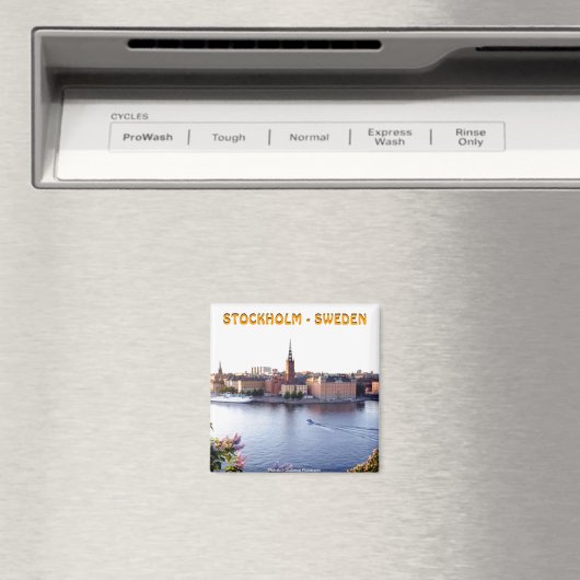 Aimant Stockholm - Suède (Mojisola A Gbadamosi) (In Situ (Lave-vaisselle))