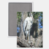 Aimant Stork de bois dans la nature (Recto/Verso)