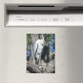 Aimant Stork de bois dans la nature (In Situ (Lave-vaisselle))