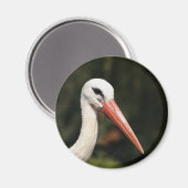 Aimant Stork - symbole de Strasbourg et Alsace, France (Recto/Verso)