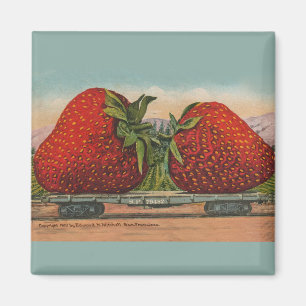 Aimant Strawberries Giant Antique Fruit Fun