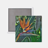 Aimant Strelitzia - Fleur de Tenerife (Recto/Verso)