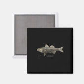 Aimant Striped B Fishing  (Recto/Verso)