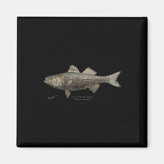 Aimant Striped B Fishing  (Devant)